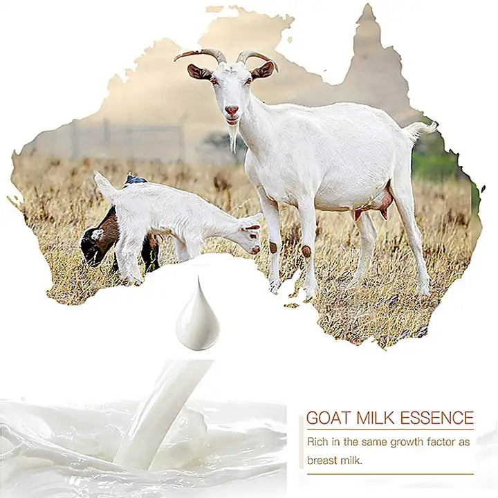 KORMESIC Goat Milk Body Lotion Elevate Your Skincare Line with KORMESIC Goat Milk Body Lotion!